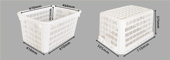 新款八斤尺寸图 1 新款八斤尺寸图 1